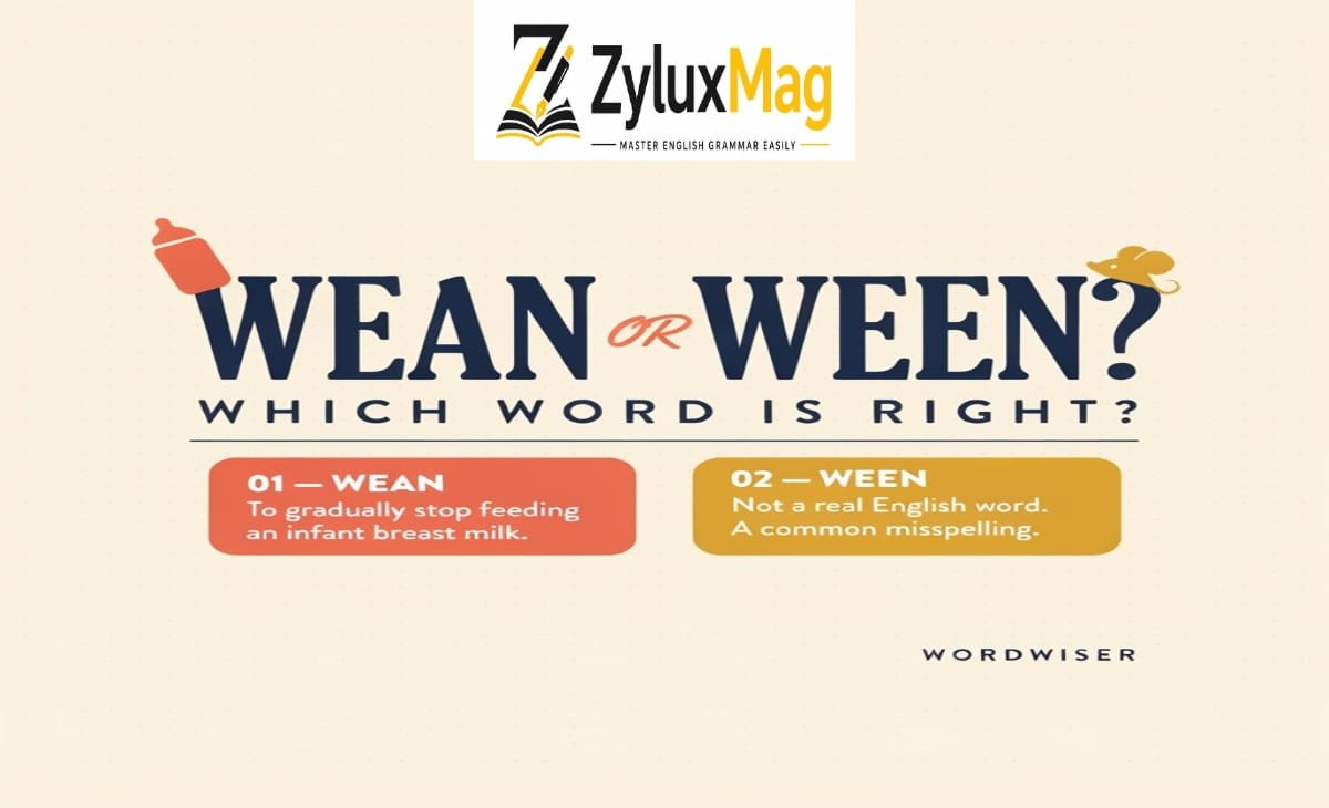 Wean or Ween? Which Word Is Right?